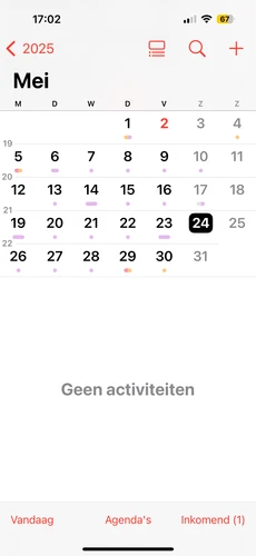 IMG 1375