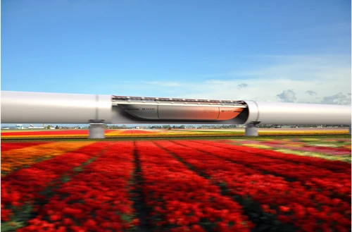 Cargoloop flower field