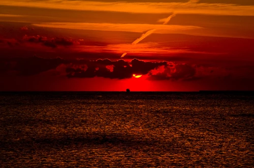 Spugen in de zee tot die rood ziet - Een aversie tegen instrumentarium aan tests, type-indicators, en vragenlijsten