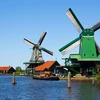 eenvoud
