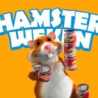 Hamsteren - Hoe je een beweging op gang krijgt