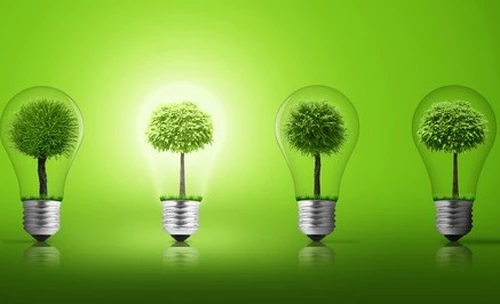 Duurzaam - Voorbeelden en tips voor duurzaamheid als onderdeel van de bedrijfsvoering. 