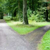 De twee wegen naar Het Nieuwe Werken - Management versus medewerker, hard versus zacht. Een waarschuwing.