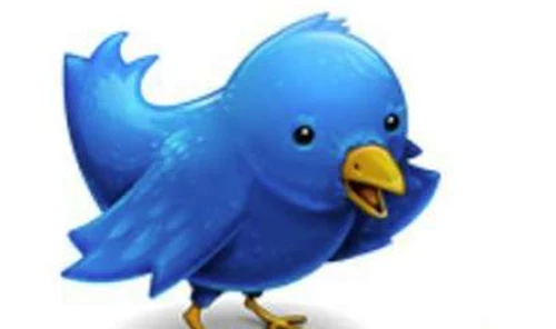 Twitteren voor professionals en bedrijven - Zijn de Social Media te managen?