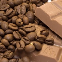 Hoe fair trade is Fairtrade? - Is fair trade werkelijk fair trade of een marketingtruc?