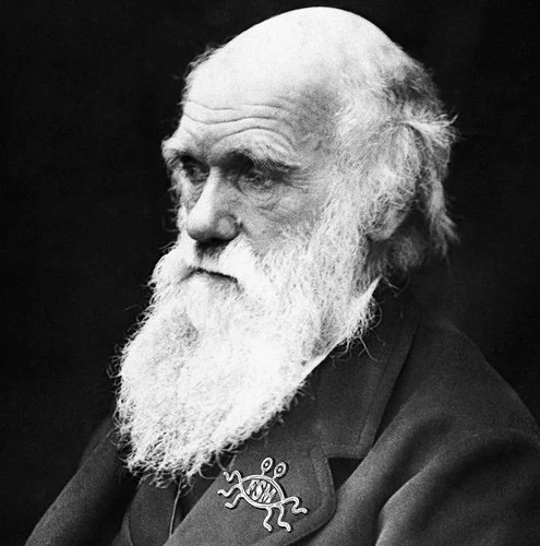 Wendbaarheid - Of hoe Darwin toch een beetje gelijk heeft