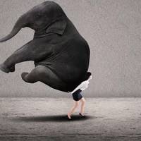 Businesswoman lifting heavy elephant