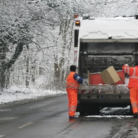 removing of bulb garbage in winter, Germany, North Rhine-Westphalia
