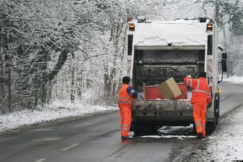 removing of bulb garbage in winter, Germany, North Rhine-Westphalia