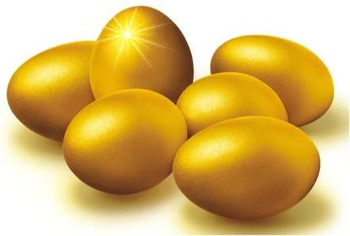 gold_egg