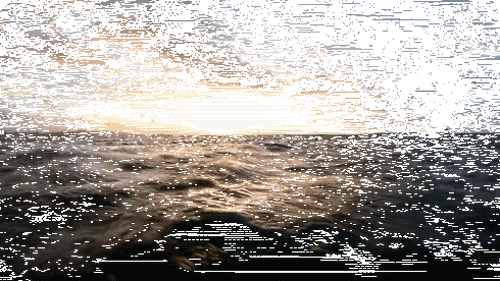 Gif-sea