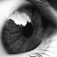 Gif-eye