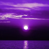 purple-night