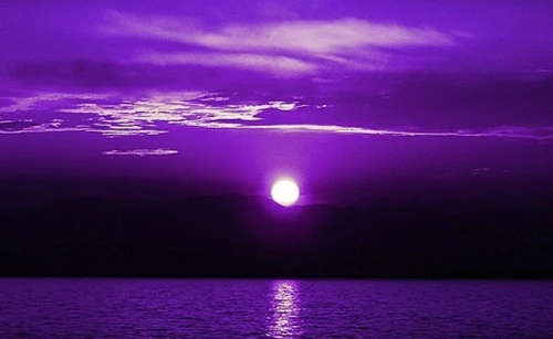 purple-night
