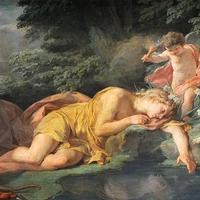 Narcissus