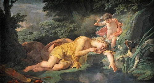 Narcissus