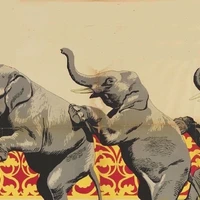 olifant-coach