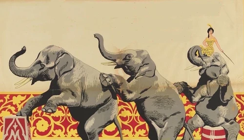 olifant-coach