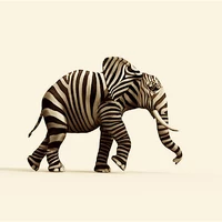 zebraphant