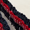 discipline