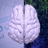 Applied Behavior Science