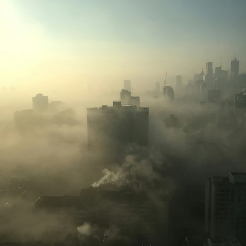 city with high rise building covered with fogs