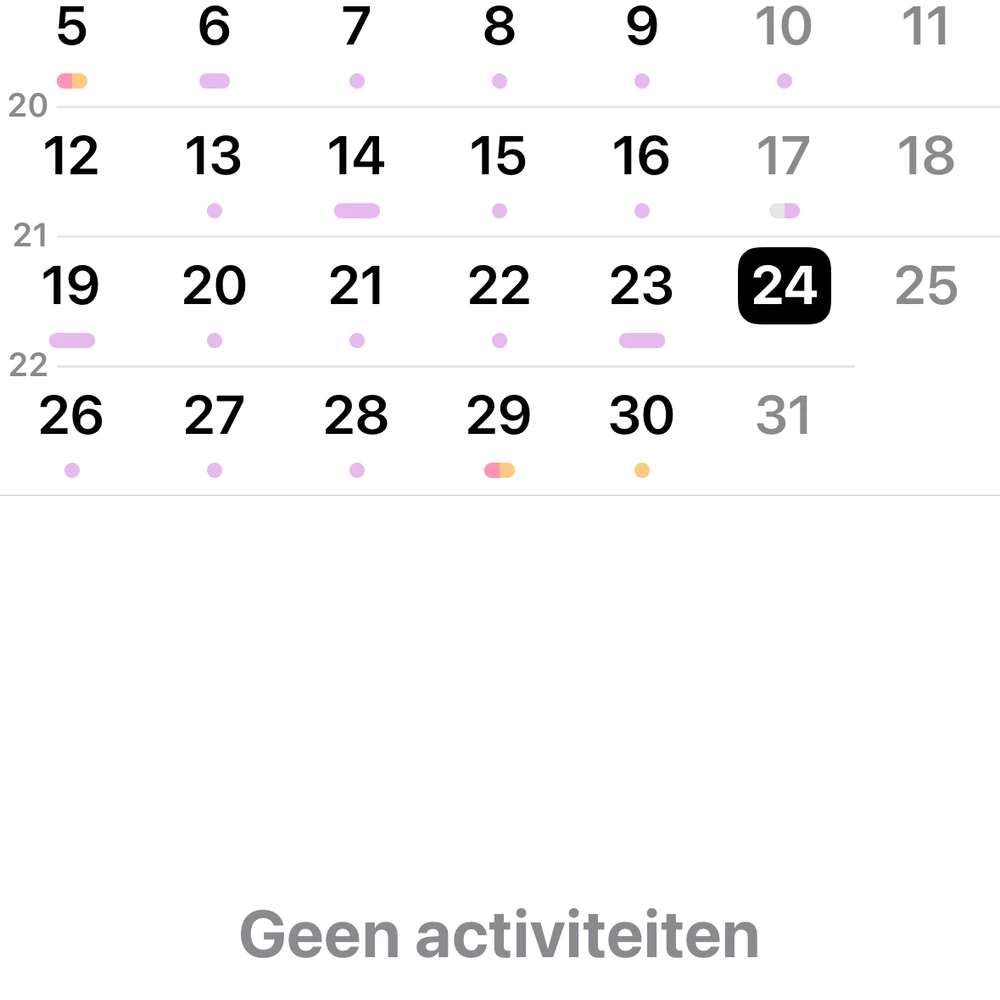 IMG 1375