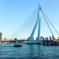 rotterdam brug