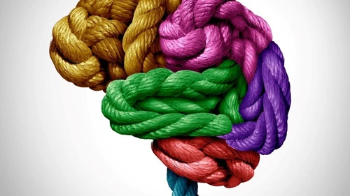 neurodiversiteit