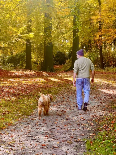 a2d73c89 bb7c 478d b22d 6724e03ad081