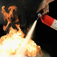 brand blussen