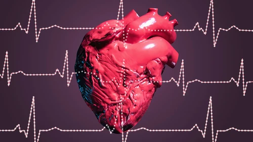 HEARTBEAT