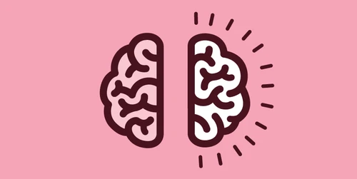 right brain myth2