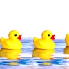 followTHEleader