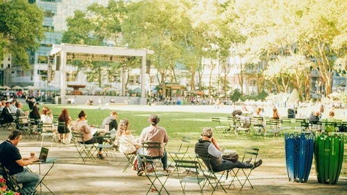 People relaxing in a sunny park with green grass.