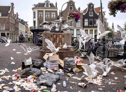 Amsterdam da dirty