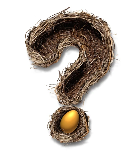 Retirement,Nest,Egg,Questions,And,Savings,As,A,Financial,Planning